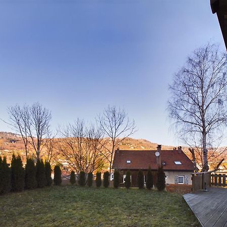 Le Chalet Du Pere Michel, Jacuzzi, Sauna, Jardin La Bresse Exteriér fotografie